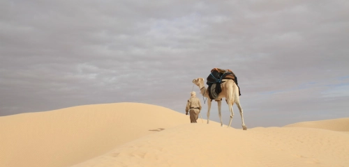 Joniec Sahara Run - Mensch gegen Wüste